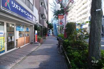 敷地北側の前面道路（東側から）