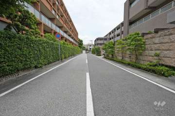 敷地南側の前面道路