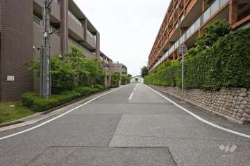 敷地南側の前面道路