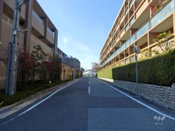 敷地南側の前面道路。