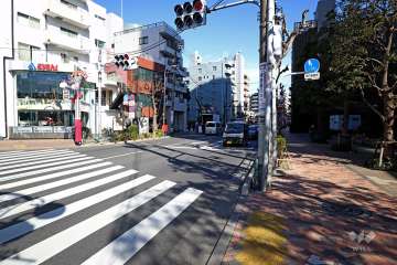 敷地北側の前面道路(西側から)