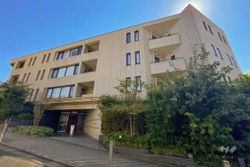 ハイレーゼ三軒茶屋の外観（西側から）