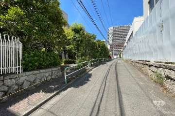 敷地北側の前面道路