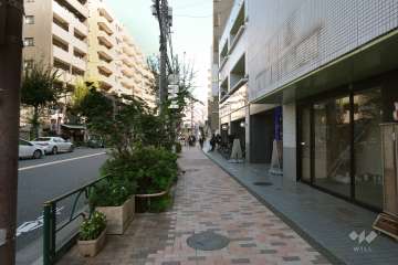 敷地北側の前面道路（西側から）