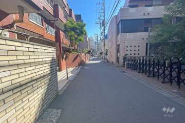 敷地南側の前面道路（西側から）
