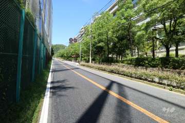敷地南側の前面道路