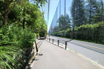 敷地南側の前面道路