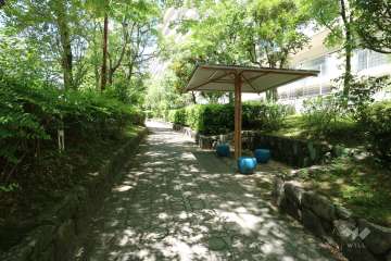 敷地南側の公園（緑道）