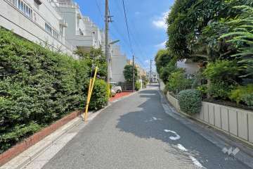 敷地西側の前面道路（北側から）