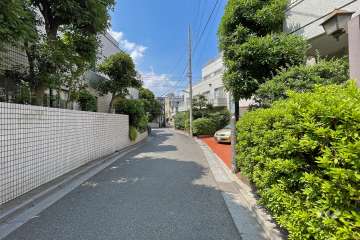 敷地西側の前面道路（南側から）