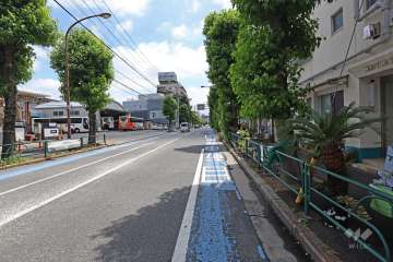 敷地北側の前面道路(西側から)