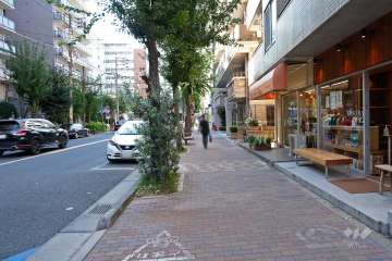 敷地南側の前面道路（東側から）