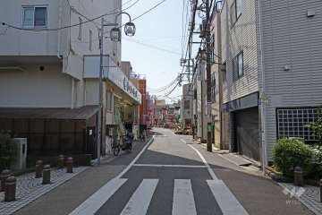 敷地西側の前面道路（南側から）