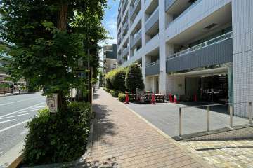 敷地南側の前面道路　