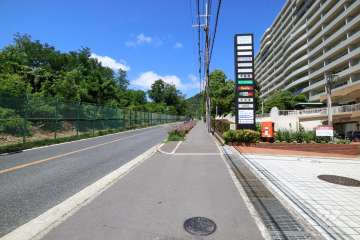 敷地南側の前面道路