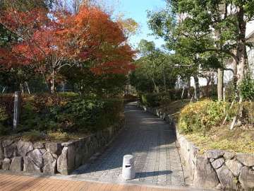 敷地の南側には緑道があります。