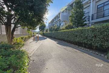 敷地北側の前面道路