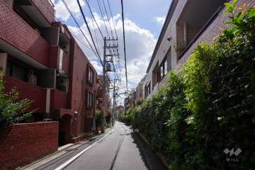 敷地西側の前面道路（北側から）