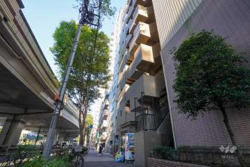 敷地北側の前面道路（西側から）