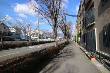 敷地西側の前面道路