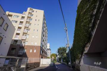 敷地南側の前面道路（西側から）