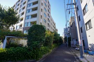 敷地東側の前面道路（南側から）