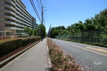 敷地南側の前面道路