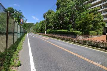 敷地南側の前面道路