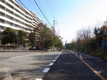 緑道を挟んで南側にはバス通りが走っています。