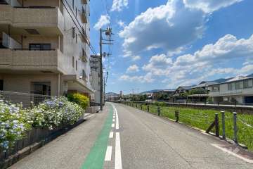 敷地北西側の前面道路（南東側から）