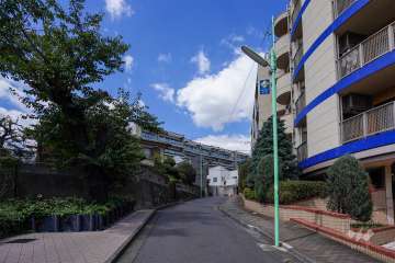 敷地南西側の前面道路（南東側から）