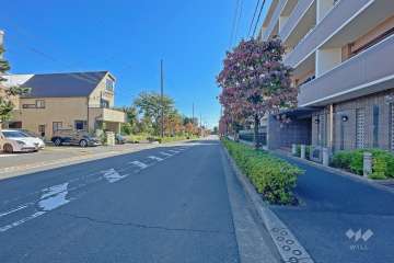 敷地東側前面道路（北側から）