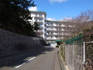 敷地の南西側は斜面地で、木々の緑がきれいです。