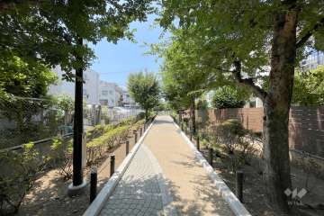 敷地南東側の前面道路