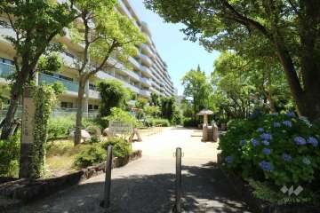 敷地南側にある公園