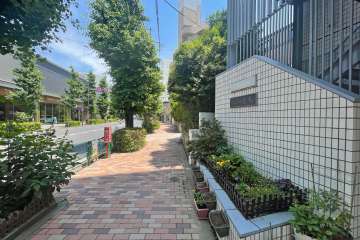 敷地北側の前面道路（西側から）