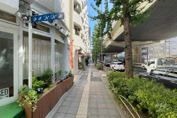 敷地北西側の前面道路（南西側から）