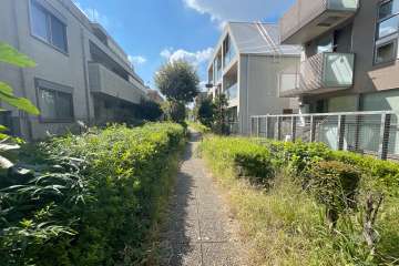 敷地南側の前面道路（東側から）