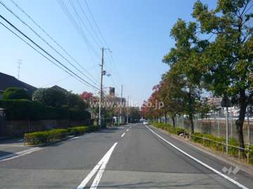 敷地の北側は街路樹のきれいな通り。道を挟んでJR東海道本線の線路敷です。