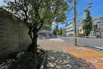 敷地北側の前面道路（東側から）