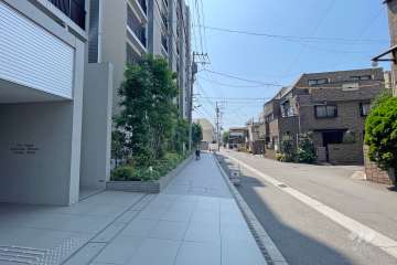 敷地西側の前面道路（北側から）