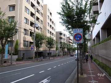 敷地南側のバス通り。歩道があり、街路樹がきれいです。