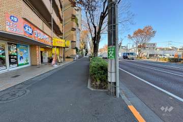 敷地北側の前面道路