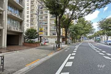 敷地北側の前面道路（西側から）