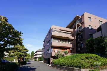 敷地北側の前面道路（西側から）