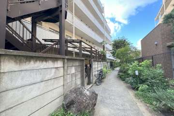 敷地東側の前面道路　