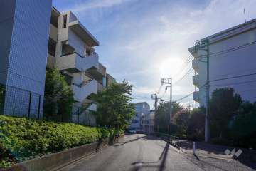 敷地北側の前面道路（東側から）