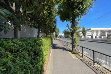 敷地東側の前面道路