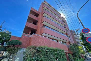 ジョイア上野毛の外観（西側から）