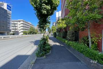 敷地西側の前面道路（南側から）